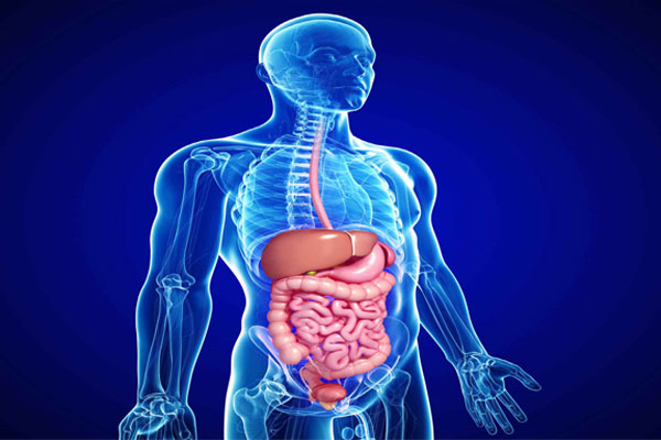 Gastrology Treatment